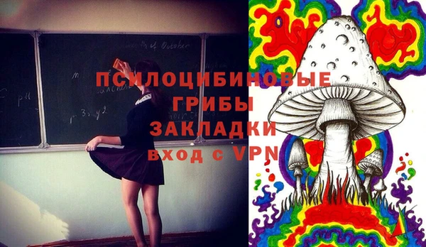 spice Инсар