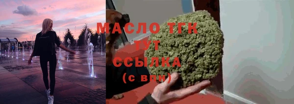spice Инсар