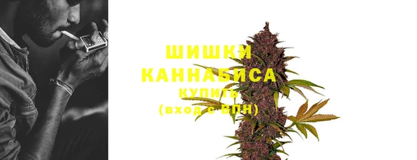 spice Инсар