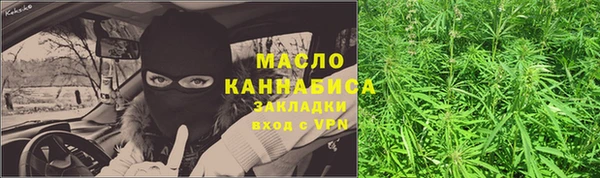 spice Инсар