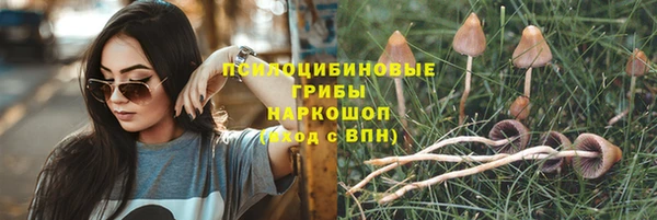 кокс Иннополис