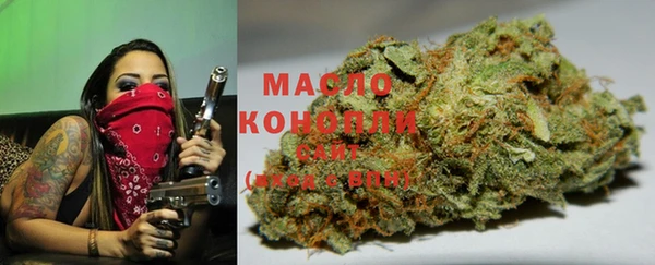 spice Инсар
