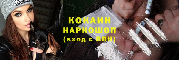 spice Инсар